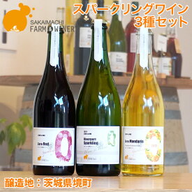 ワイン ギフト おしゃれ 【スパークリングワイン3種セット】750ml×3本 さかいまちワイナリー スパークリングワイン 赤ワイン ロゼワイン フルーツワイン セット 洋酒 境町 ギフト 母の日 父の日 女子会 記念日 飲み比べ ご褒美 入社祝い