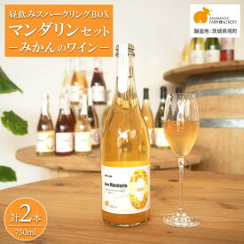【訳あり】ワイン スパークリングワイン マンダリン2本セット 750ml 辛口 酒 みかん ギフト 母の日 父の日 プレゼント 女子会 記念日 飲み比べ ご褒美 フルーツワイン お祝い
