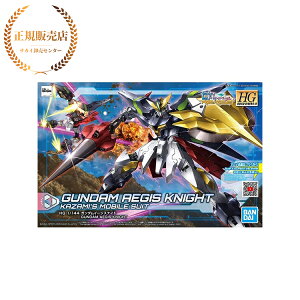 HGBD:R K_rh_Co[YRe:RISE K_C[WXiCg 1/144XP[ Fς݃vf