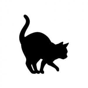 CAT WALL LIGHT2 04 ��������