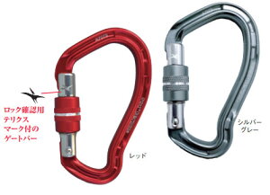 (A)bNeNXEegXN[(AMG11107N)yRoc teryxz