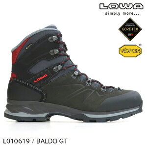 (S)���[�o�[ / L010619-9740 / �o���hGT�����Y(LOWA BALDO GTX MS)�y�o�R�C�z�y�g���b�L���O�V���[�Y�z�y�{�XS�z