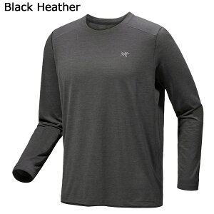 (T)A[NeNX X000009719ER[}bN N[OX[u Y/Cormac Crew LS MyzyzzygbLOzygCjOzygxzy]sizyEGA