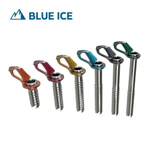(C)�u���[�A�C�X 100284�E�G�A���y2025�N1�����R�[���ΏۊO�m�F�ρz�yBLUE ICE�z�y�A�C�X�X�N�����[�z�y�~�R�o�R�z�y��R�o�R�z�y�{�XC�z�y3�z