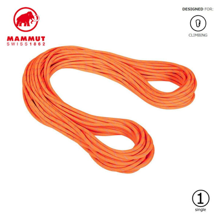 楽天市場】(C)MAMMUT (マムート) 2010-04220 9.5 アルパインドライ 