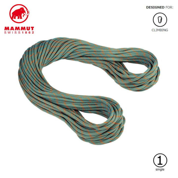 楽天市場】(C)MAMMUT (マムート) 2010-04290 9.9 クラッグ  