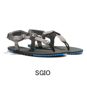 �[���V���[�Y HTM�EH�g���C��M's�i�����Y�j�y25%OFF�z�y�T���_���z�y�C�z�y���s�z�y�g���x���z�y�L�����v�z�yXero Shoes�z