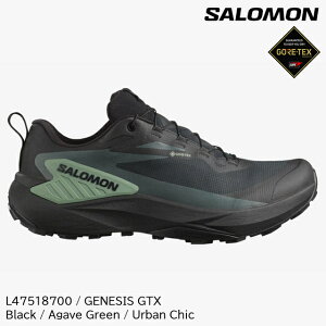 (S)T / L47518700 / WFlVXSAebNXY(Salomon GENESIS GORE-TEX)ygCjOV[YzygV[YzyV[Yفz