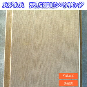 VHڔplO@XvXh@10X105X3900@@1P[X@8iؕj