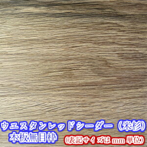[؍] m]EGX^bhV[_[iĐj@ؔژg20mmX30mmX1000mm