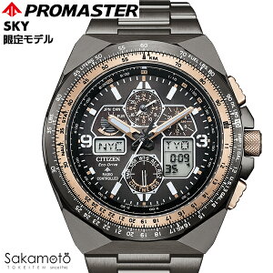 CITIZEN V`Y@PROMASTER v}X^[@SKY@v}X^[35NLO胂f@E5,600{@GREhCudgv@pCbgEHb`@qvZځ@rv@EHb`@j@