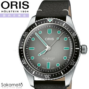 国内正規品 ORIS オリス Divers ダイバーズ65 自動巻き 40ミリケース グレー文字盤 グラデーション 10気圧防水 ブラック革ストラップ レトロ ダイバー 【01 733 7707 4053-07 5 20 89】AE