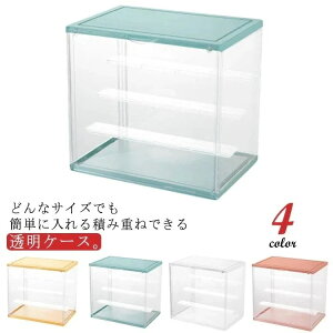 K [P[X I WP[X 傫TCY RNV {bNX NAP[X RNVP[X  P[X }Olbgt ςݏdˉ\ tBMA Oi NA RN