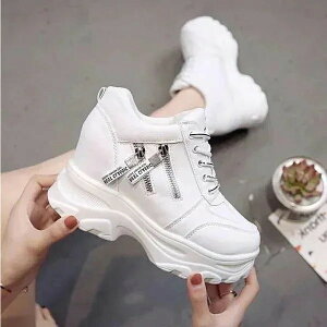 K Xj[J[q[10cm_炢Xj[J[SG151 fB[XXj[J[ ĕ ^