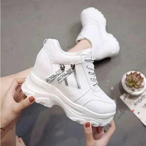 K Xj[J[q[10cm_炢Xj[J[SG151 fB[XXj[J[ ĕ ^