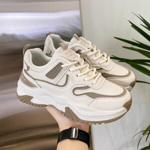 K Xj[J[ 24V Xj[J[ fB[X ؍  JWA Xj[J[