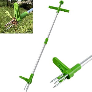  @ 蓹 ܂   ؒp_p G XeX| ϋv͂̋ 3{ܕt