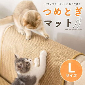 L ܂Ƃ  }bg LTCY 81cm50cmϋvTCU Œpst ʊ~