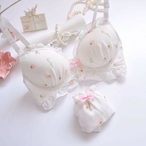 Zbg VIiCgu lCuW[ |SÔȂ{̓F̐n̎hJ̃tB̃Rbv ̂킢̃u ZbgW߂܂