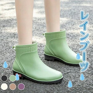 {̌菤i Cu[c fB[X CV[Y V[g JpV[Y JC h C 