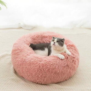 Vybgxbh NbV  L ^ p  g ӂӂ ӂ ybgpxbh 􂦂 킢 Q ybg\t@ ΍