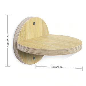 CޔL܂Ƃǃy_TCUϋvL܂ƂLpi