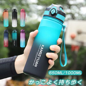  | ^C}[J[  L }C{g Lv EH[^[{g X|[c{g hN{g gѕ֗  y