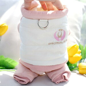 tƏȞefB{[~ybg̃RLVir[xAH g