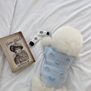 tƏȞefB{[~ybg̃RLVir[xAH 炵 g Z[^[