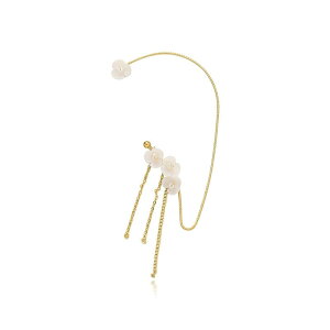 t̎ C[Jt p[C[JtVL̊k̑Ԃ̎DʋΕS| ~̃sAX ~sAX