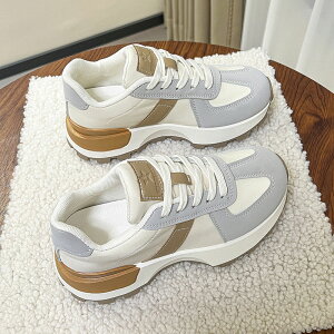 zF fB[X ؍ ʋΒʊwCtbgXj[J[ gRXj[J[ ^ rV[Y