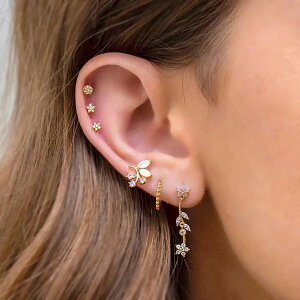 sAX C[Jt fUC s X^[[V[Y C[Jt t t̃sAX