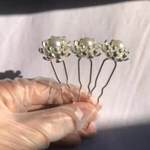 ̌ÕȔ^Ԃ̏Û񂴂{̔̔̎MIɂ񂴂̂񂴂gݍ킹