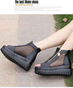 T_ I[vgD u[cT_ fB[X r fB[X }}CT_\tgtbg~hwlC~߉KCNX|[cT_