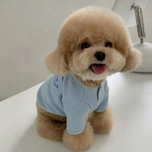 V H~̌ efB{[~ybg̃RLVir[xAH g炵 g싅 ~AE^[