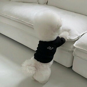 V H~̌ efB{[~ybg̃RLVir[xAH g炵 g싅 ~AE^[