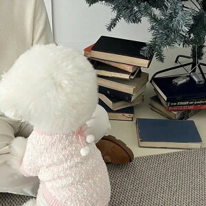 lV ybg ̕ L lrȓ ^  K ybgpi pi g