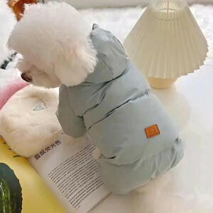 V tƏȞefB{[~ybg̃RLVir[xA炵 LH~ p[v Z[^[ 炵 g싅 ~AE^[