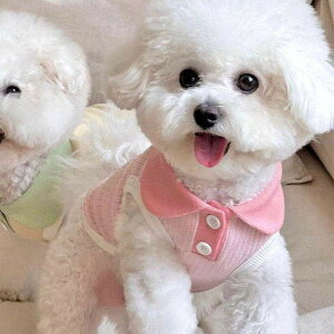 lV쌢 m JWA|Vc L efBr[xA [NV[ ^  K ybgpi pi yAbN U tĕLʋCybg