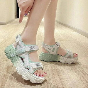 ؍ T_ X|[c EH[LORtH[g p₷fUC X|[c V[Y tbgT_ fB[X T