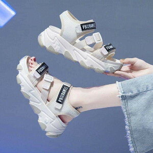 ؍ T_ X|[c EH[LORtH[g p₷fUC X|[c V[Y tbgT_ fB[X T