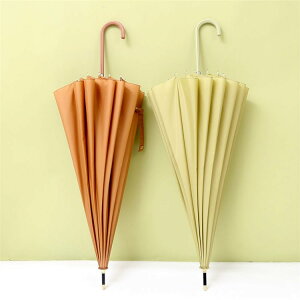 P fB[X Y  v̎ ϕ  WvP P JP Jp P H ܂Ȃ IV p { P  킢 Vv v[g Mtg