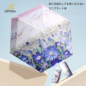 P ܂肽 SՌ y ܂ݎP { uvJbg O΍ Ă΍ Y fB[X y 傫 肽ݎP Jp  傫 JP
