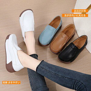 . - . cm Xj[J[ fB[X C T}[Xj[J[ EFbW\[ r ₷ Ȃ y RtH[g JWA EH[LO jO AEghA  ʋΌC