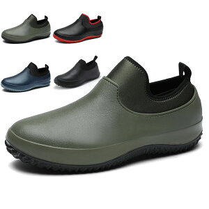 CV[Y Y fB[X JC V[g y h ~J΍ 䕗 ʋ ʊw