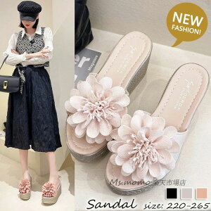 ~[T_ fB[X ₷  T_ gh EFbW\[ XgCv~[vT_ C ₷ r l ؂ T{T_ r[` AEghA 