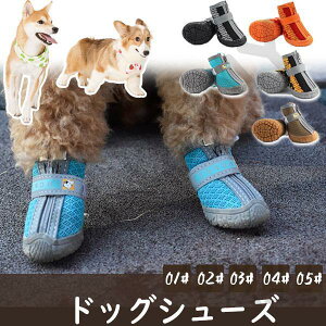 hbOV[Y pC }WbNe[v  C C EȂ V[Y bV U  ~ n[h X|[c h  VjA