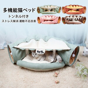 @\L gl Lxbh Lp IV X ʕt glt  L ˂ lR xbh Lpxbh Lpi ybgp XgX ^sP v[g Mtg l