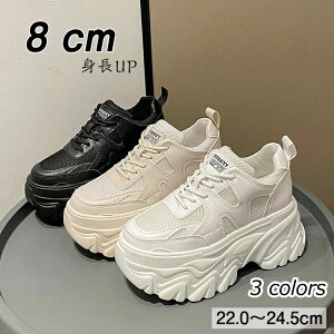 Xj[J[ cm gAbv V[NbgV[Y fB[X _bhXj[J[ Cq[Xj[J[ ^C X|[cV[Y EH[LOV[Y jOV[Y ꂢ r