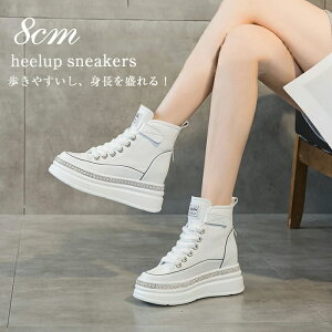 Xj[J[ fB[X gAbv  V[Y V[NbgV[Y V[NbgC V[NbgXj[J[ C\[ Xj[J[ q[ cm 킢 Vv _ y ʋC 